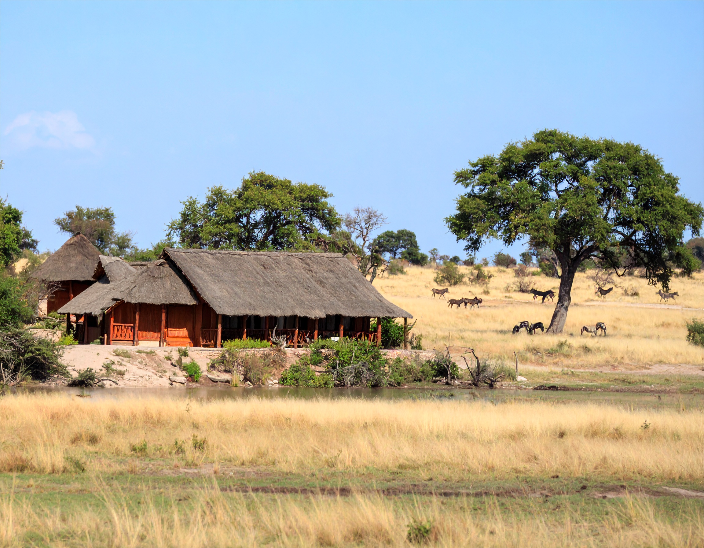 Save Time and Simplify Operations